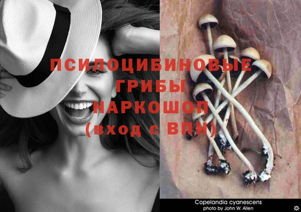 соль ск Беломорск