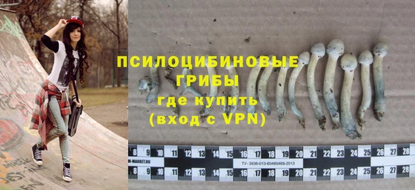 наркотики Белокуриха