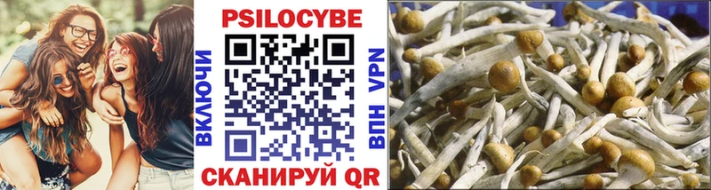 Псилоцибиновые грибы Psilocybe кракен сайт Невель хочу наркоту